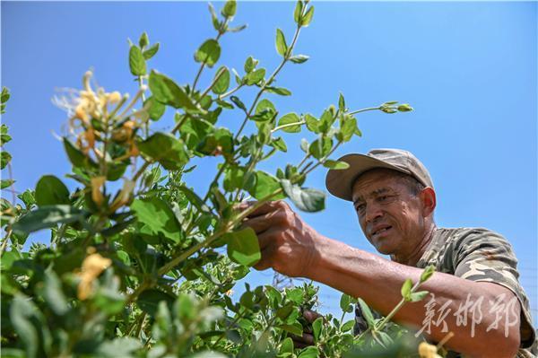 阿裏體育獲得2017劄幌亞冬會獨家新媒體版權
